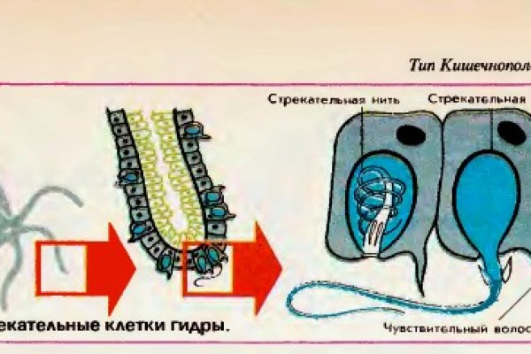 Регистрация на сайте кракен