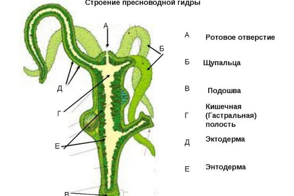 Кракен мефедрон