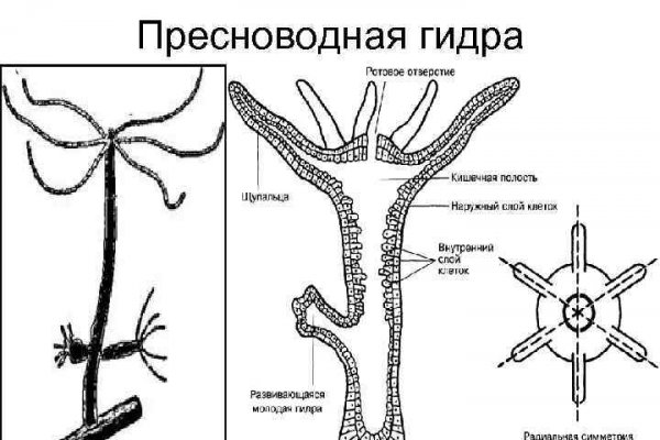 Кракен зеркало ссылка онлайн