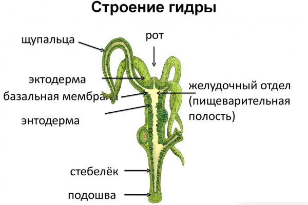 Работающий сайт кракен