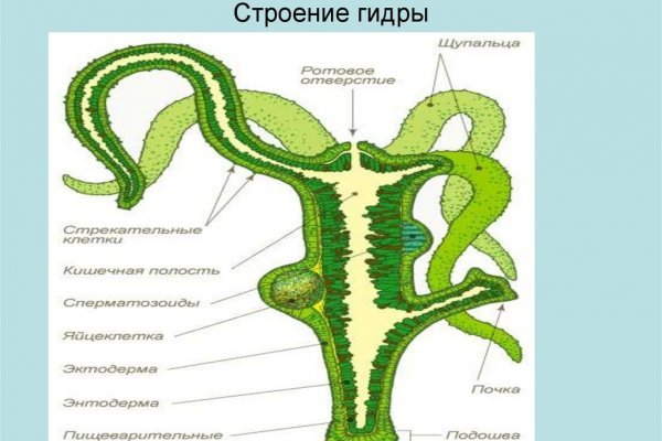 Кракен маркетплейс телеграм