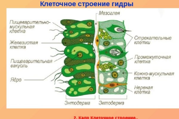 Кракен это что за сайт